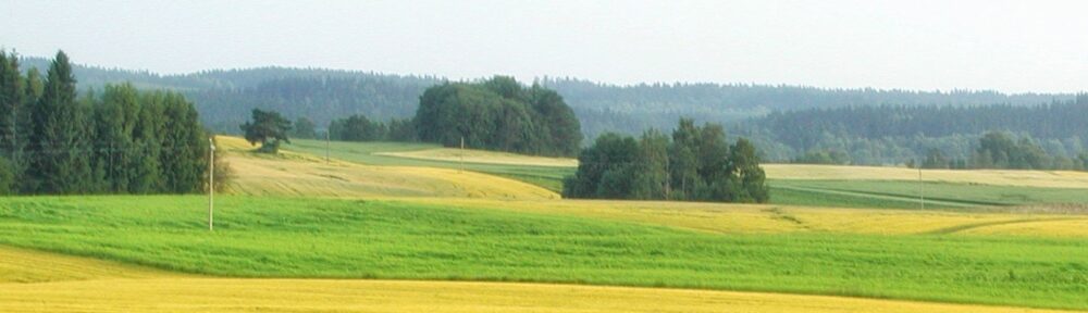 vihreää ja keltaista peltomaisemaa