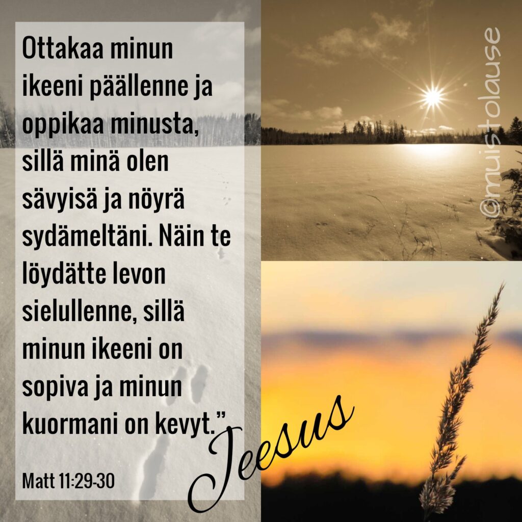 Jeesus antaa levon sielulle.