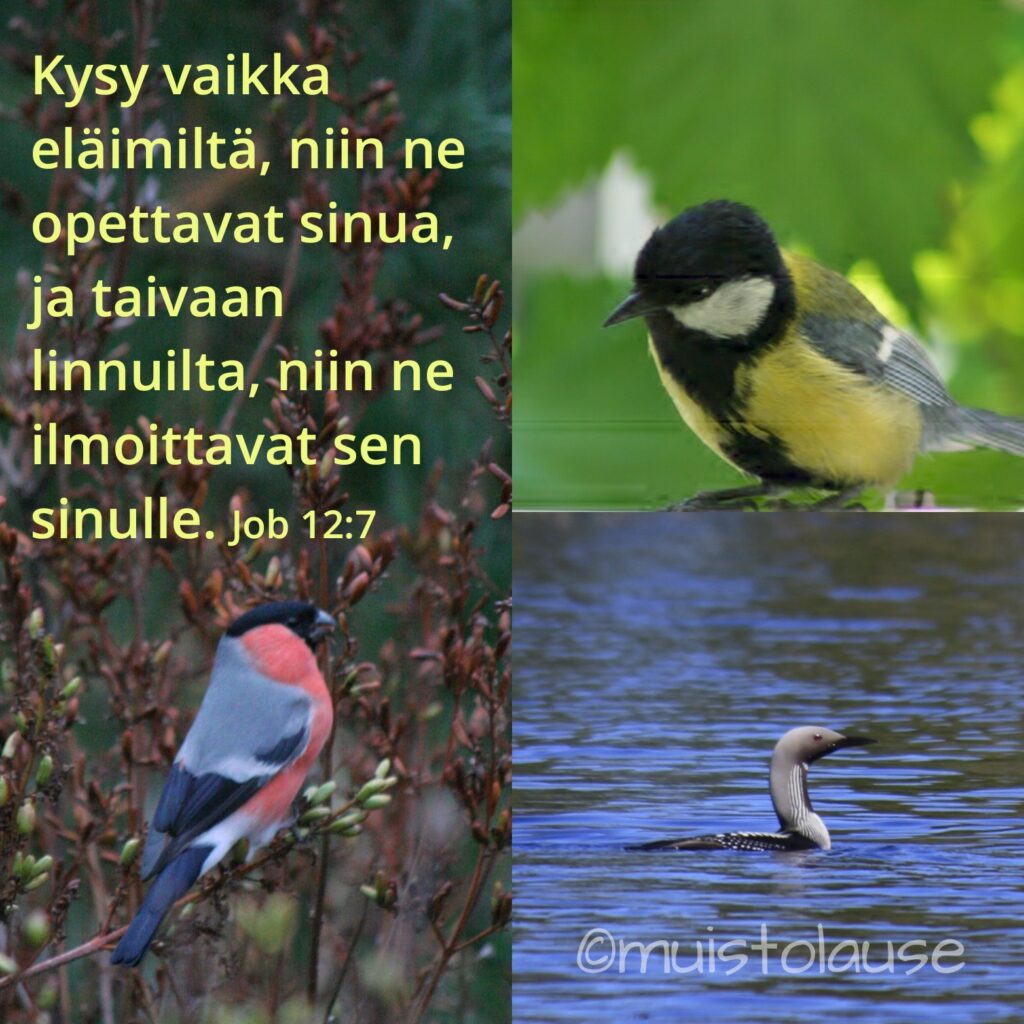 Raamatun henkilö Jobin ajatus.