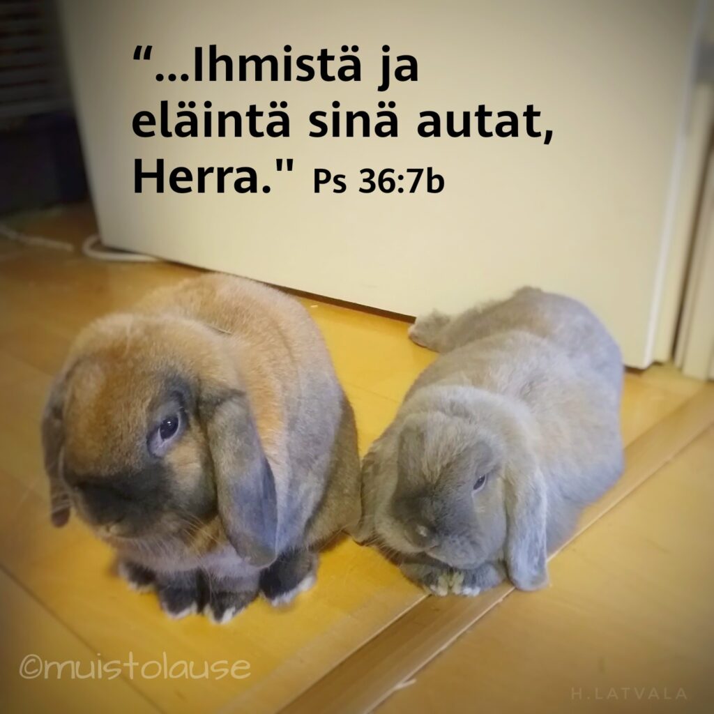 Psalmi 36 jossa puhutaan eläimistä, kuinka Herra auttaa